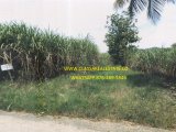 TOWN HEAD, Westmoreland, Jamaica - Commercial/farm land for Sale